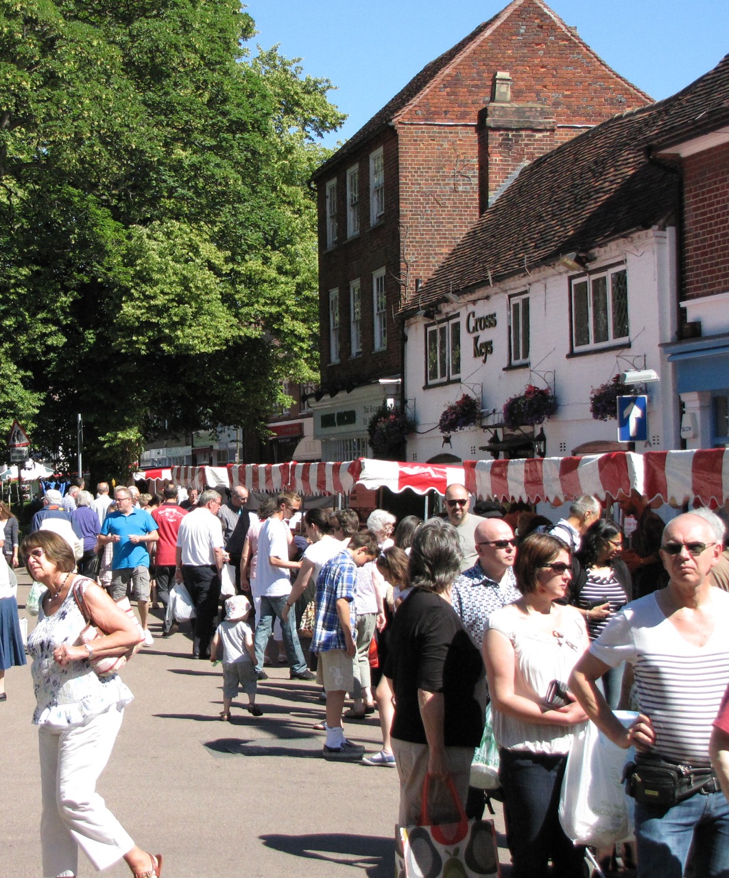 Harpenden Society Public Meetings